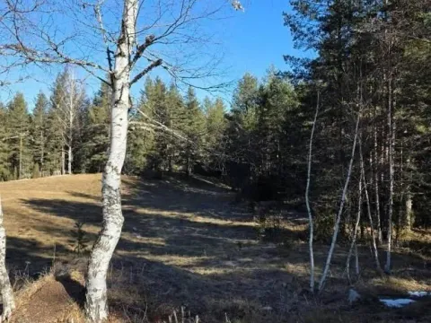 Prodaja, plac, 50000m², Borje, Žabljak - image 2