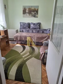 Manja dnevna soba sa kaučem, tepihom i drvenim podom. - image 9
