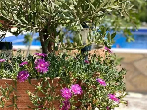 Sale, house, 75m², Bar, Crna Gora - image 3