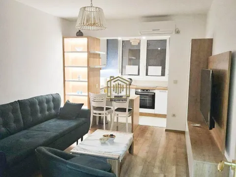 Izdavanje, jednosoban stan, 40m², Preko Morače, Podgorica