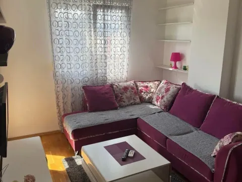 Izdavanje, jednosoban stan, 45m², Ljubović, Podgorica - image 1