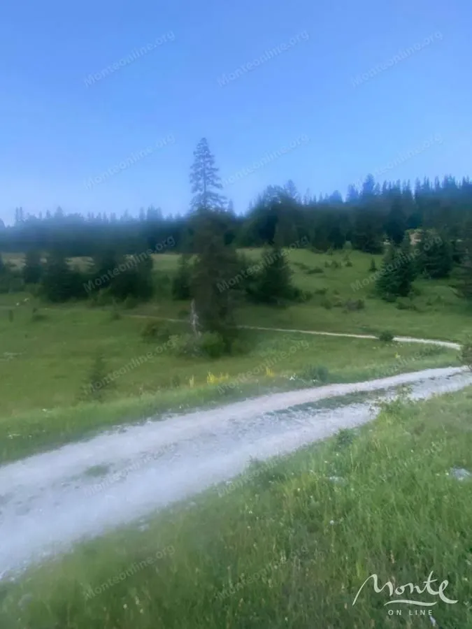 Prodaja, plac, 15531m², Krš, Žabljak