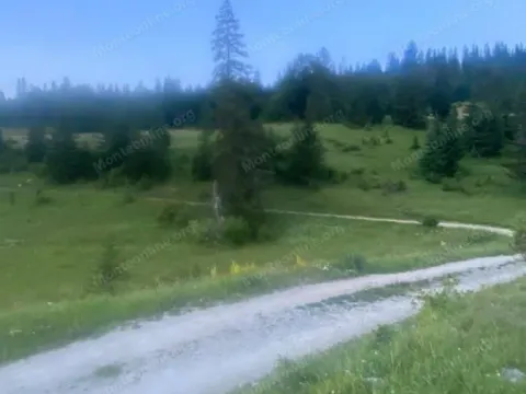 Prodaja, plac, 15531m², Krš, Žabljak - image 3