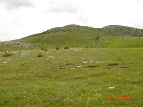 Prodaja, plac, 450000m², Centar, Žabljak - image 2