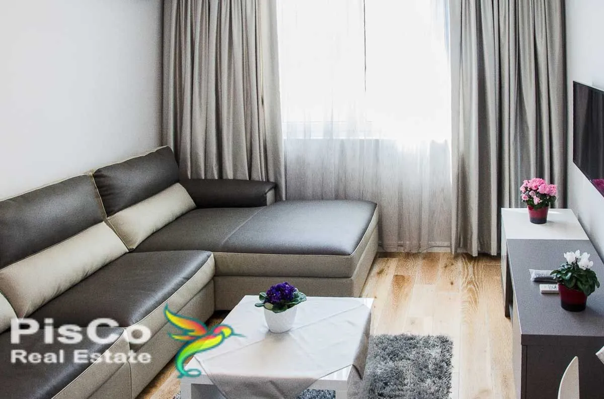 Izdavanje, jednosoban stan, 46m², Centar, Podgorica