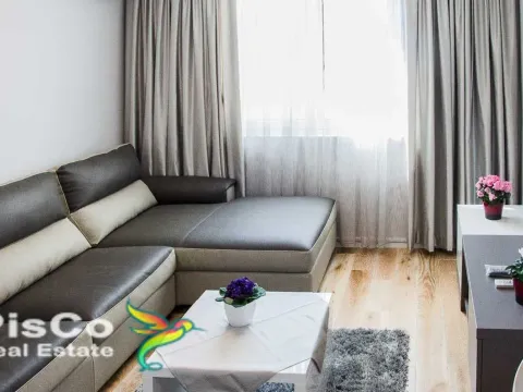 Izdavanje, jednosoban stan, 46m², Centar, Podgorica - image 1