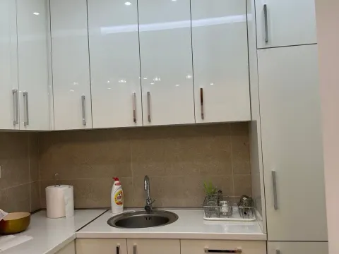 Izdavanje, jednosoban stan, 43m², Dalmatinska ulica, Podgorica - image 3