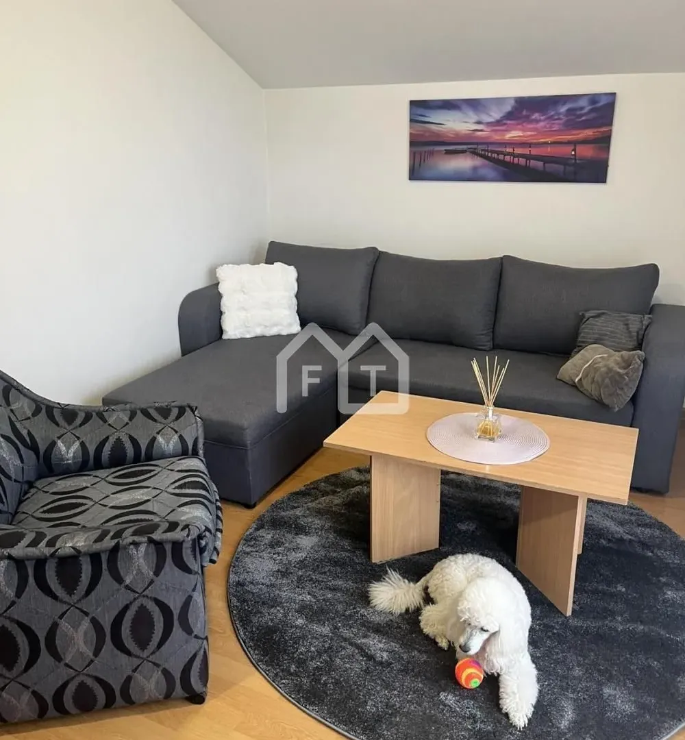 Izdavanje, dvosoban stan, 42m², Altina, Beograd