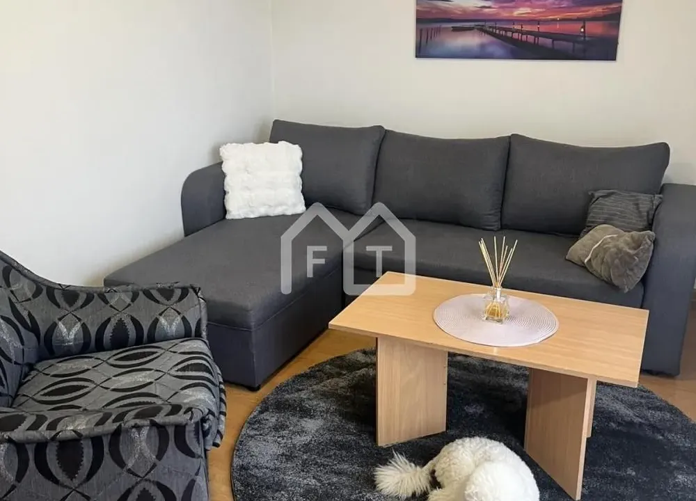 Izdavanje, dvosoban stan, 42m², Altina, Beograd