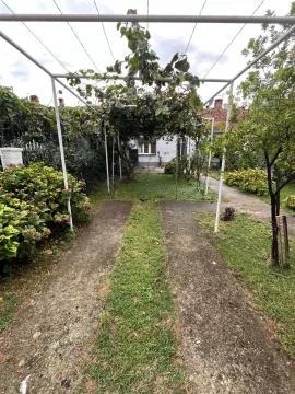 Green yard with a pathway and a vine-covered pergola. - image 12