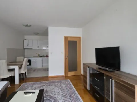 Izdavanje, jednosoban stan, 47m², Stari Aerodrom, Podgorica - image 6