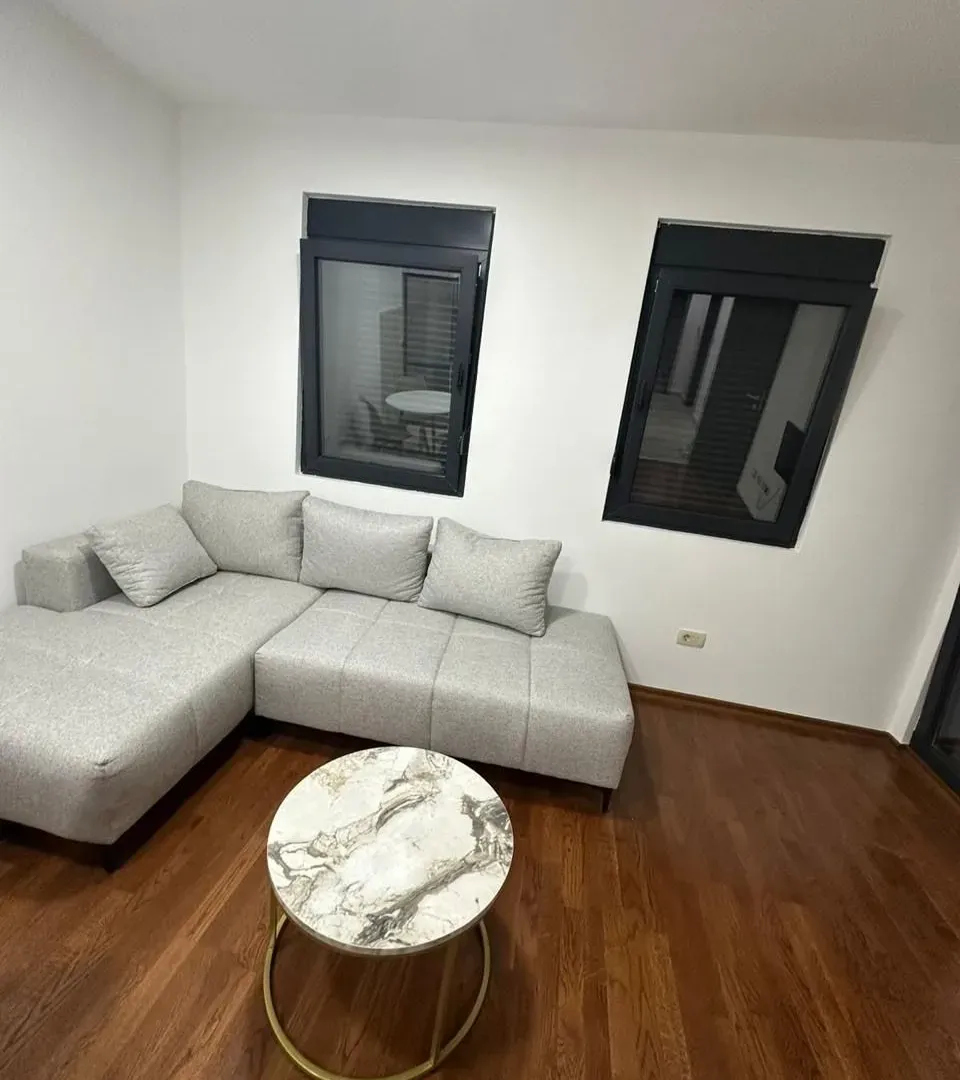 Rent, one bedroom apartment, 47m², Ljubović, Podgorica