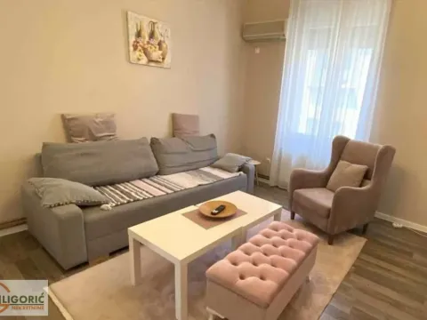 Rent, two bedroom apartment, 58m², Vračar Hram, Vračar Sve Podlokacije - image 3