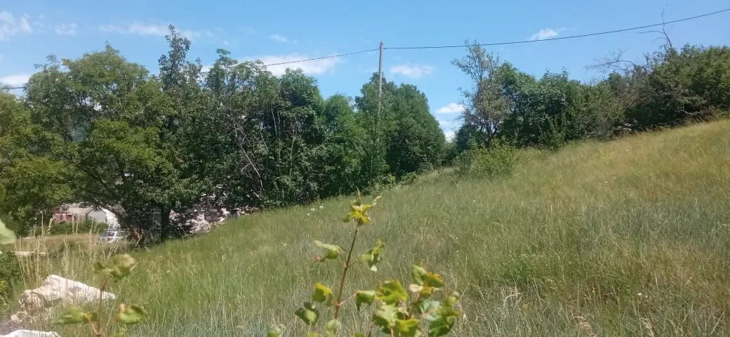 Prodaja, plac, 1500m², Ozrinići, Nikšić