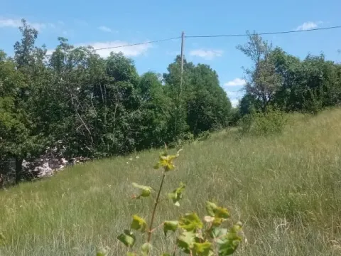 Prodaja, plac, 1500m², Ozrinići, Nikšić - image 12