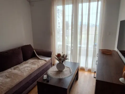 Rent, one bedroom apartment, 45m², Stari Aerodrom, Podgorica - image 2