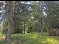 Sale, land lot, 4500m², Palež, Žabljak - image 3