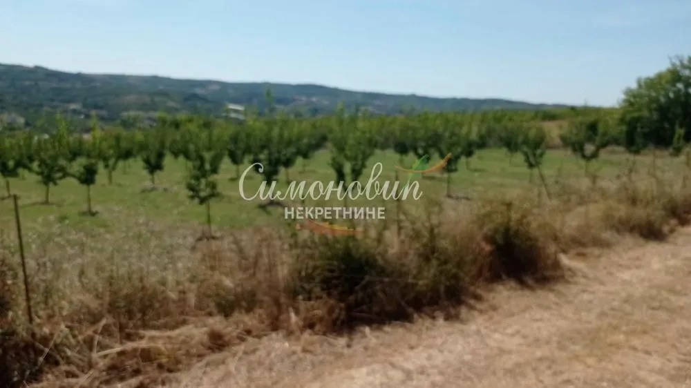 Prodaja, plac, 2500m², Begaljica, Grocka