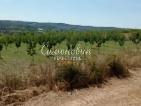 Sale, land lot, 2500m², Begaljica, Grocka - image 4