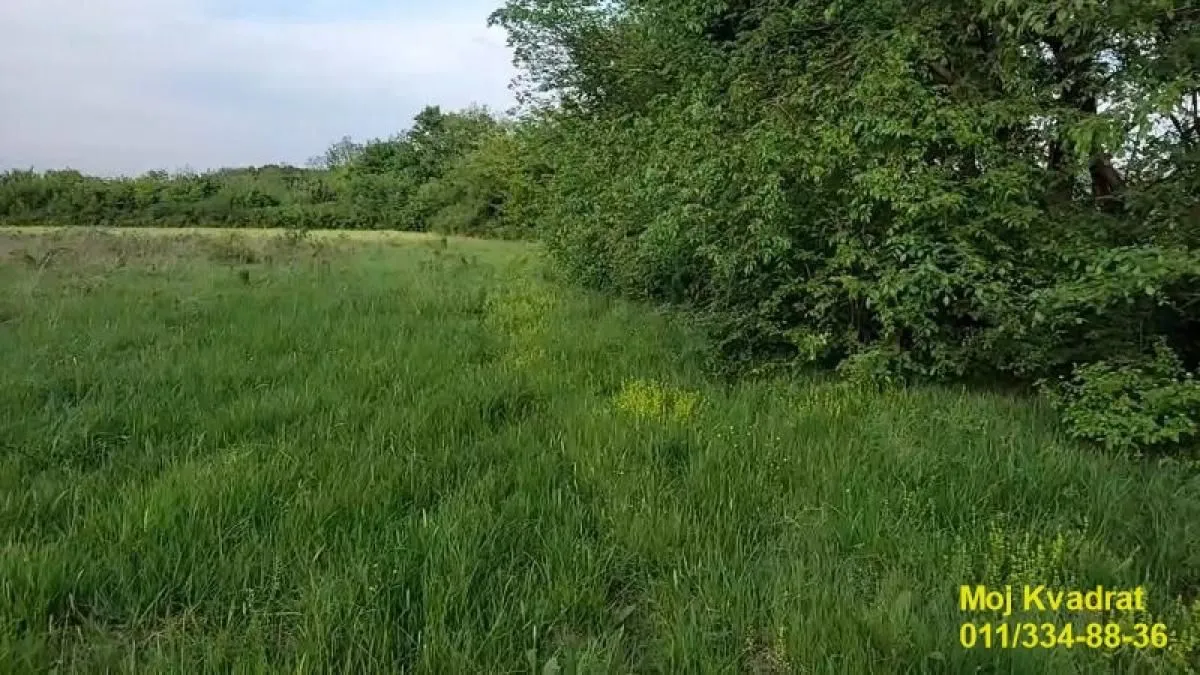Prodaja, plac, 5400m², Draževac, Obrenovac
