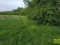 Prodaja, plac, 54m², Draževac, Obrenovac - image 4