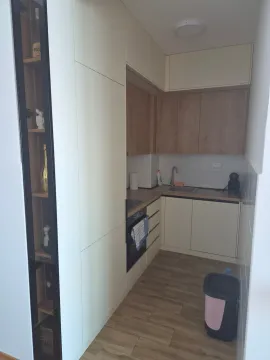 Small modern kitchen with wooden elements and built-in appliances. - image 4
