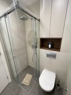 Modernly equipped bathroom with a walk-in shower and built-in sanitaryware. - image 11