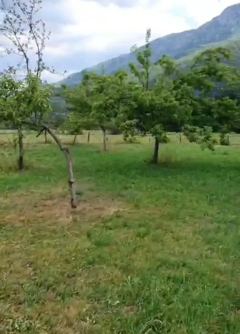 Prodaja, plac, 856m², Donje Lipovo, Kolašin