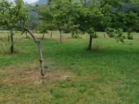 Prodaja, plac, 856m², Donje Lipovo, Kolašin - image 2