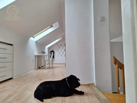 Rent, three bedroom apartment, 84m², Liman 1, Novi Sad Sve Podlokacije - image 12