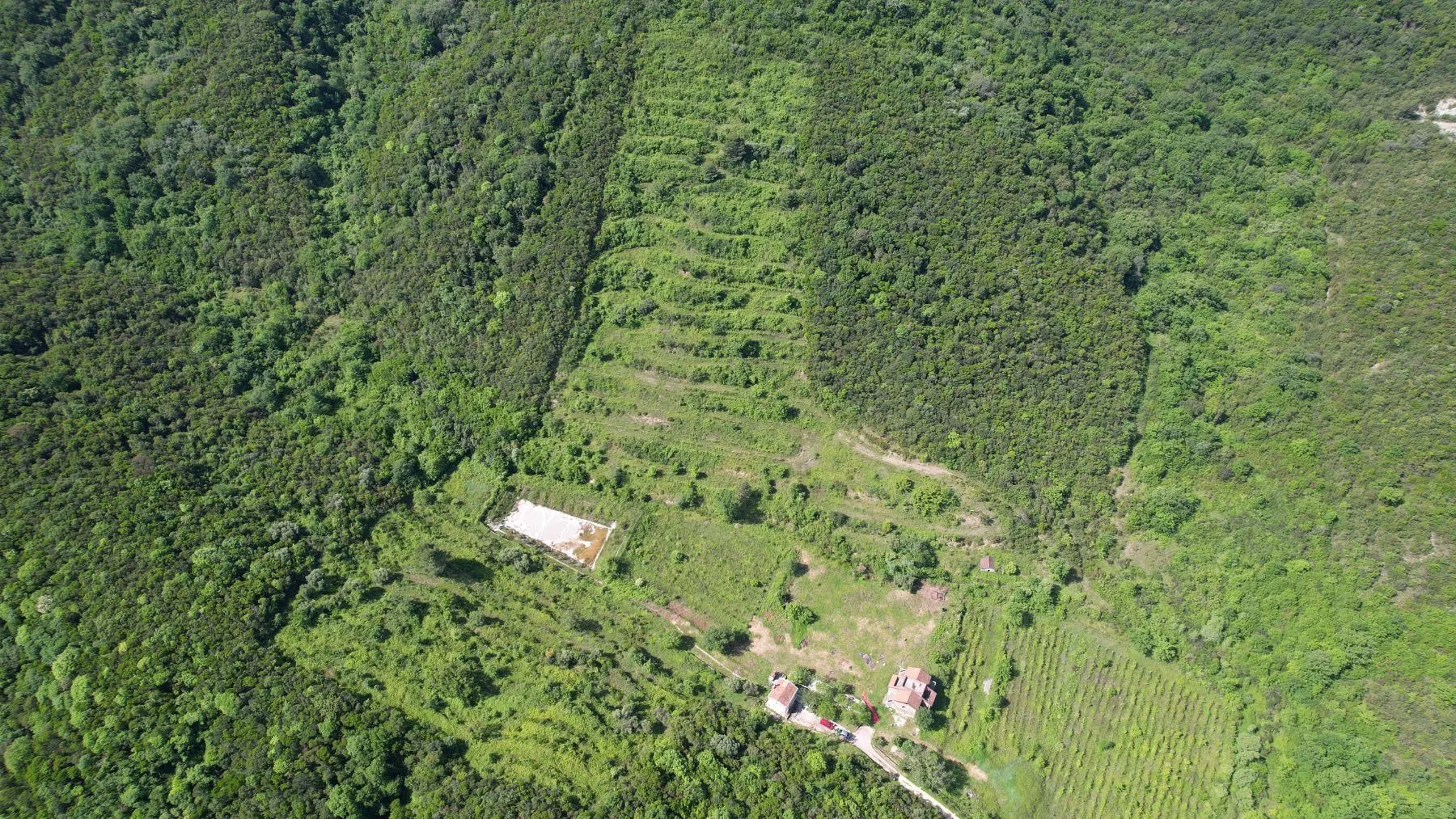 Prodaja, plac, 83000m², Radanovići, Kotor