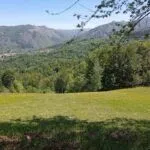 Prodaja, plac, 3000m², Kolašin, Crna Gora - image 5