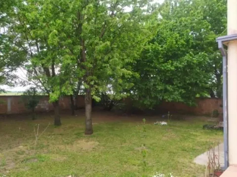 Prodaja, kuća, 389m², Zemun Sve Podlokacije, Beograd - image 7
