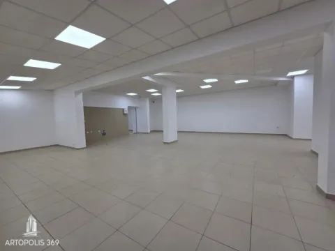 Izdavanje, poslovni prostor, 310m², Dušanovac, Voždovac Sve Podlokacije - image 2