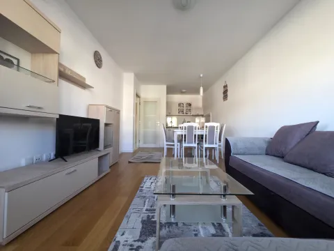 Izdavanje, jednosoban stan, 49m², Central Point, Podgorica - image 2