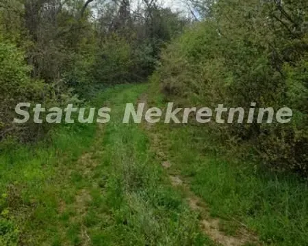 Sale, land lot, 1600m², Ledinci, Petrovaradin - image 4