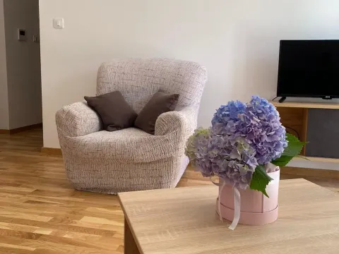 Rent, one bedroom apartment, 40m², Bečići, Budva - image 10