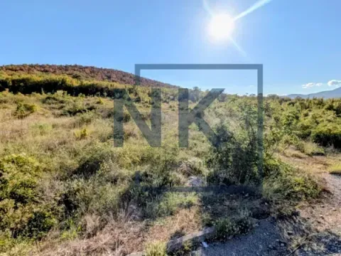 Prodaja, plac, 48125m², Podgorica, Crna Gora - image 2