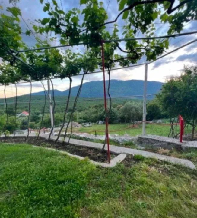 Prodaja, plac, 30000m², Danilovgrad, Crna Gora