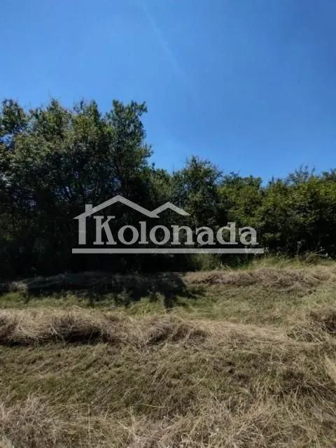 Prodaja, plac, 21800m², Babe, Sopot