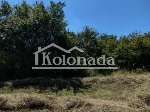 Sale, land lot, 21800m², Babe, Sopot - image 6