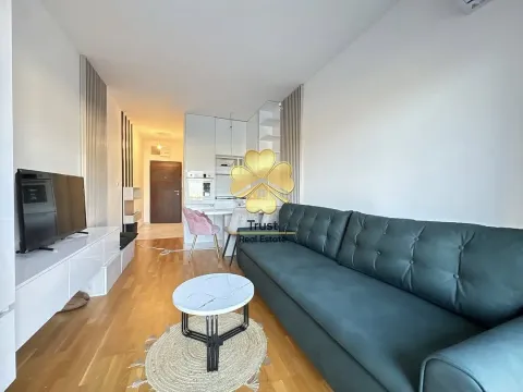 Izdavanje, garsonjera, 25m², Stari Aerodrom, Podgorica - image 3