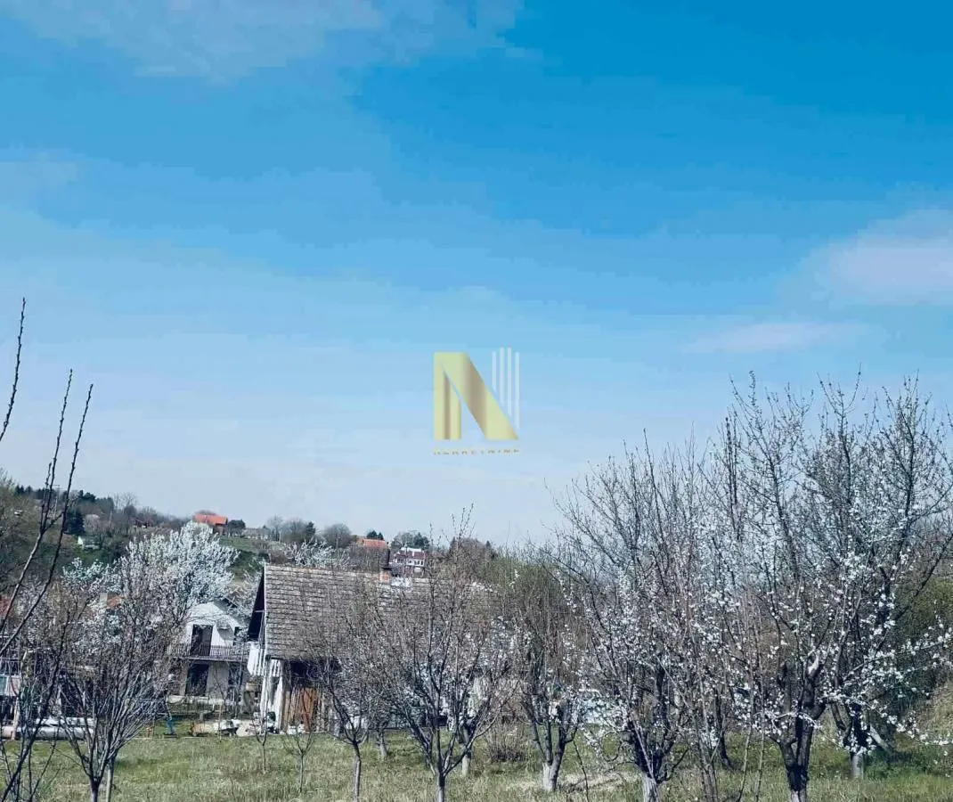 Prodaja, plac, 1547m², Sremska Kamenica, Petrovaradin