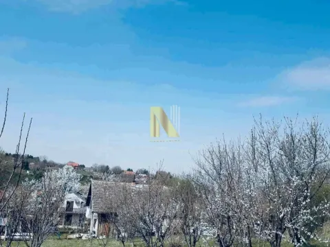 Prodaja, plac, 1500m², Sremska Kamenica, Petrovaradin - image 3