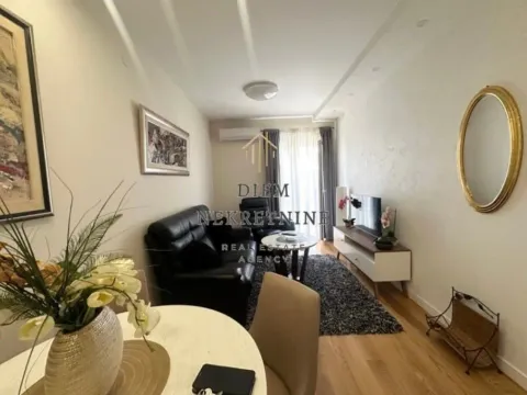 Izdavanje, jednosoban stan, 41m², Central Point, Podgorica - image 2