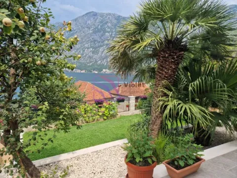 Zeleno dvorište sa palmama i voćem sa pogledom na more i planine. - image 3