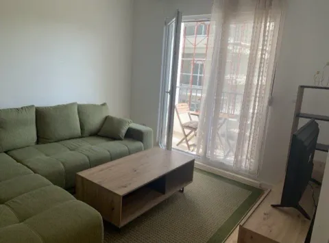 Izdavanje, jednosoban stan, 42m², Centar, Podgorica - image 9