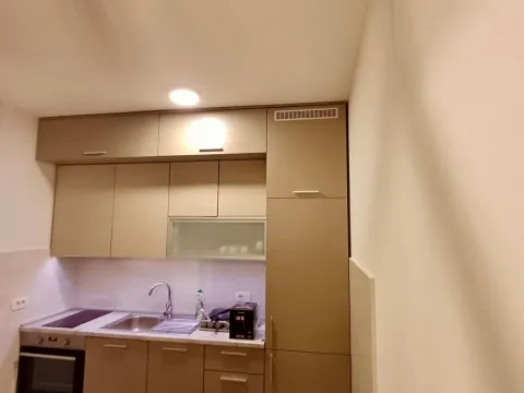 Rent, one bedroom apartment, 49m², Central Point, Podgorica - image 4