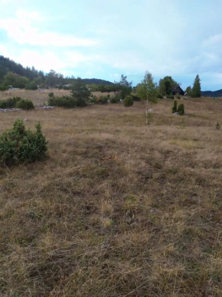 Prodaja, plac, 13600m², Njegovuđa, Žabljak