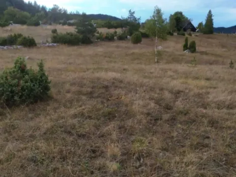 Prodaja, plac, 13600m², Njegovuđa, Žabljak - image 5